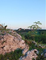  - Widok z GÃ³ry Zamkowej na najwiÄ™kszy na Jurze rezerwat przyrody - Sokole GÃ³ry